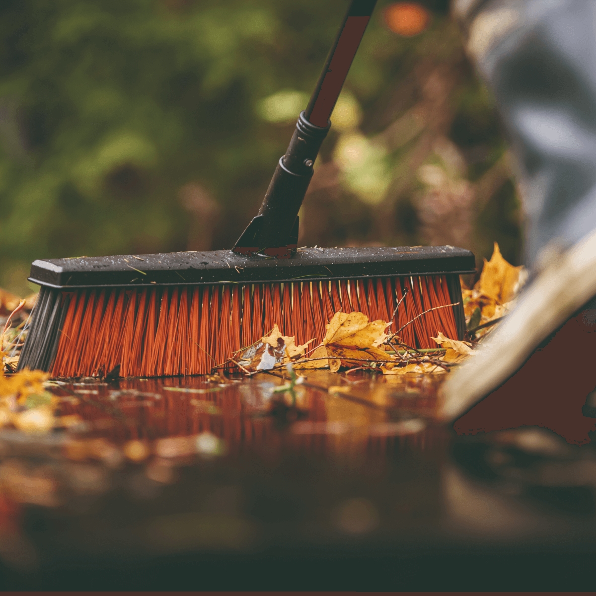 Szczotka uniwersalna (L) FISKARS Solid